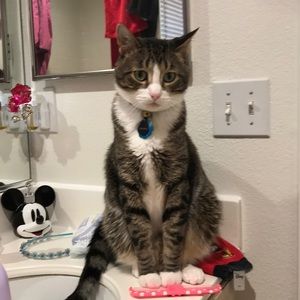 Meet your Posher, Mindy